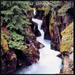 Descargar Cat Stevens - Back to Earth [1978] MEGA