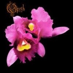 Descargar Opeth - Orchid [1995] MEGA